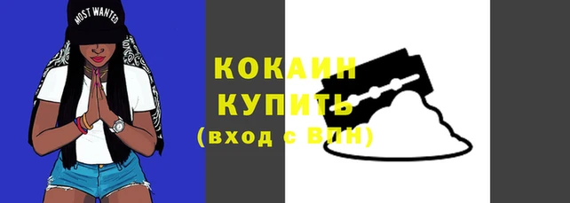соль ск Нея