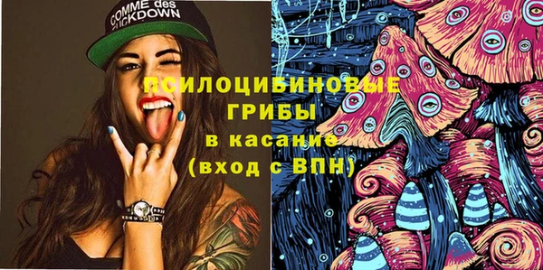 соль ск Нея