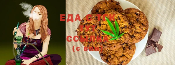 мдпв Новозыбков