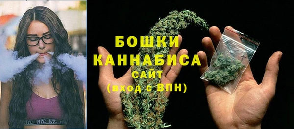 соль ск Нея