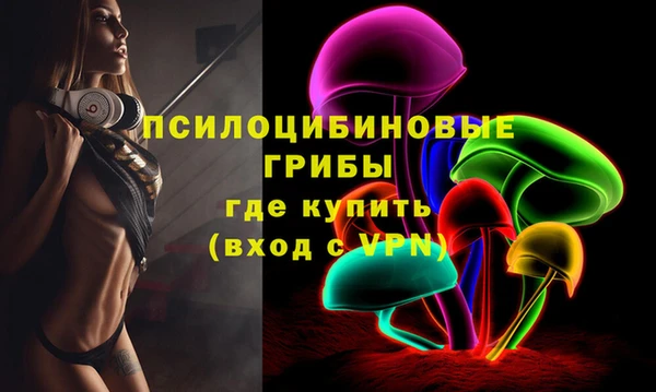 соль ск Нея