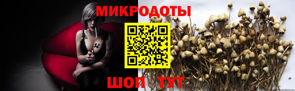 Галлюциногенные грибы прущие грибы  Вход с VPN  Смоленск 